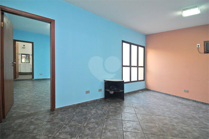 Foto REO660772