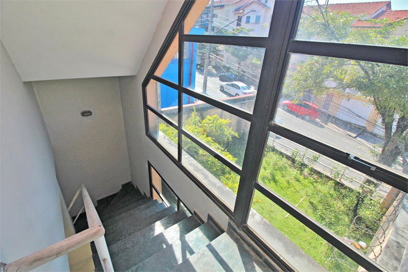 Foto REO660772