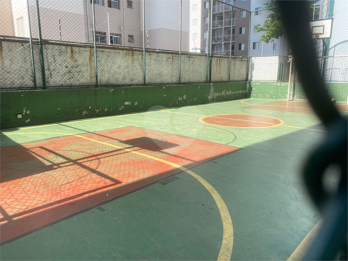 Foto REO660966