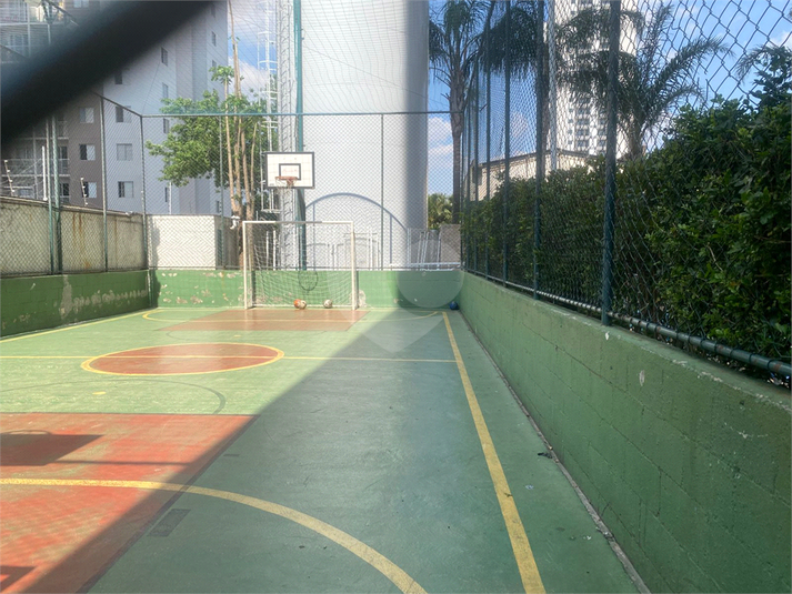 Foto REO660966