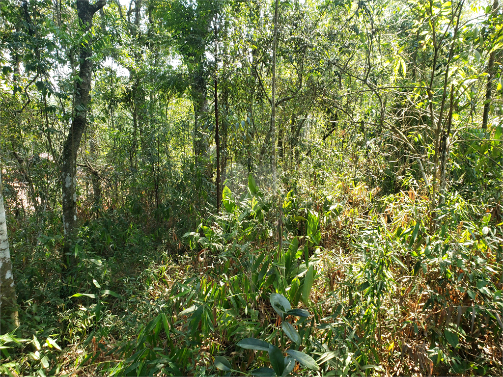 Venda Condomínio Mairiporã Parque Imperial REO660975 14