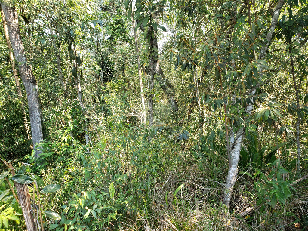 Venda Condomínio Mairiporã Parque Imperial REO660975 11