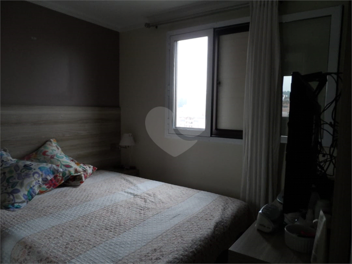 Foto REO661336