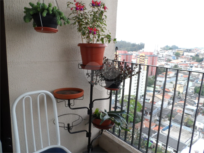 Foto REO661336