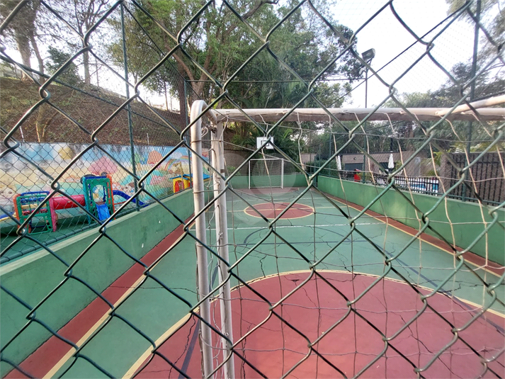 Foto REO661336