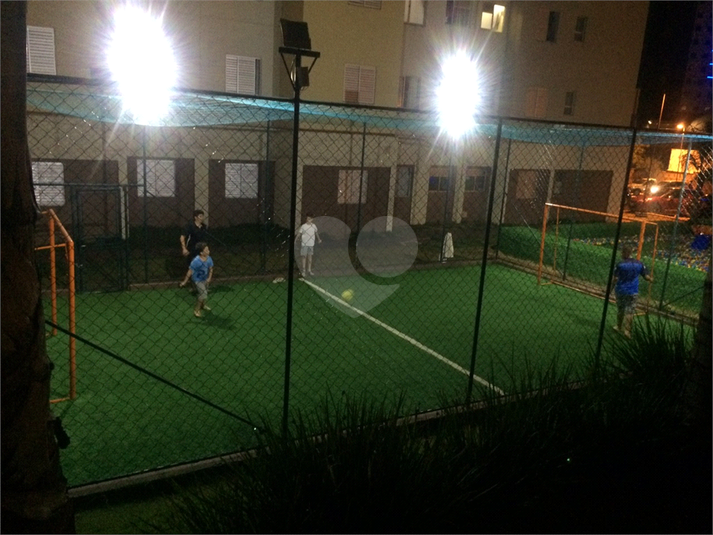 Foto REO661432