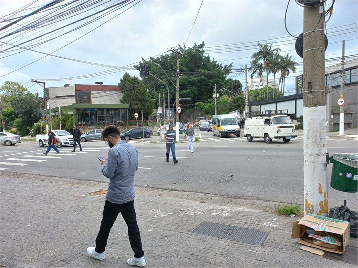 Foto REO661453