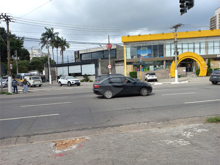 Foto REO661453