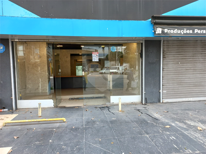 Foto REO661453