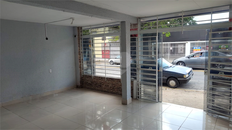 Foto REO661571