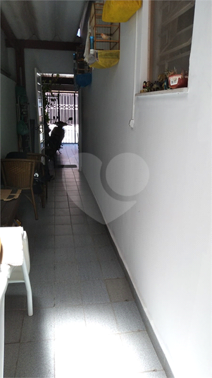 Foto REO661660
