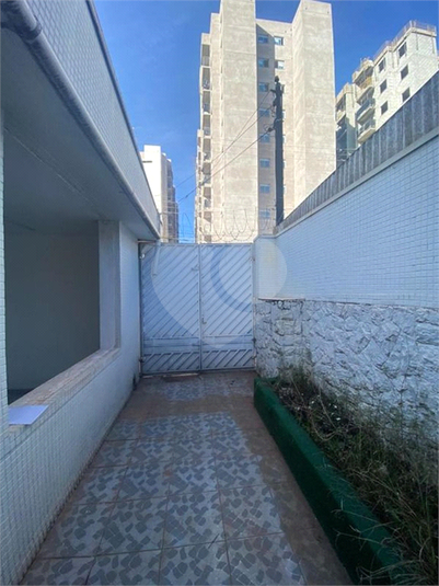 Foto REO66214