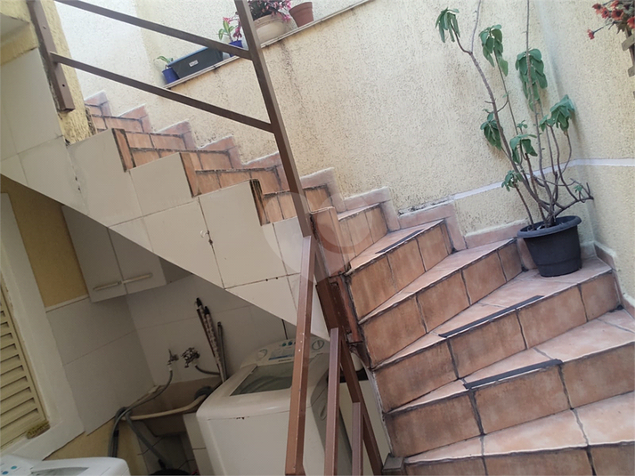 Foto REO662313