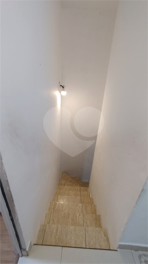 Foto REO662322