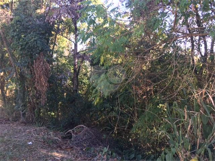 Venda Terreno Vinhedo São Joaquim REO662512 1