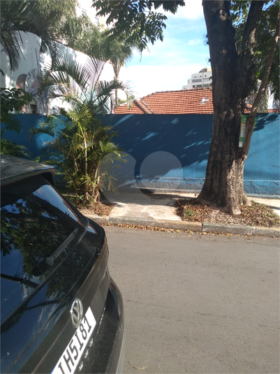 Foto REO663049