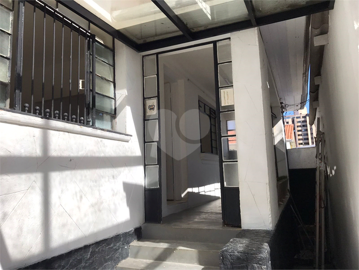 Foto REO663049