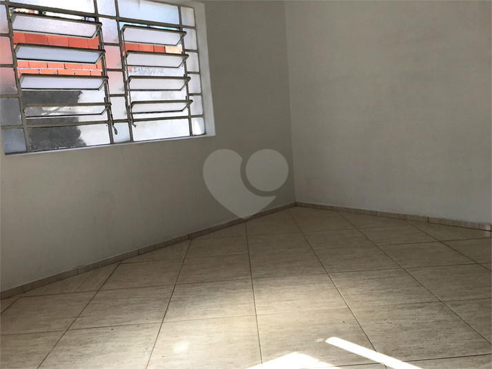 Foto REO663049