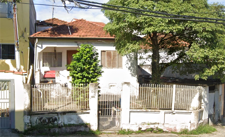 Foto REO663260