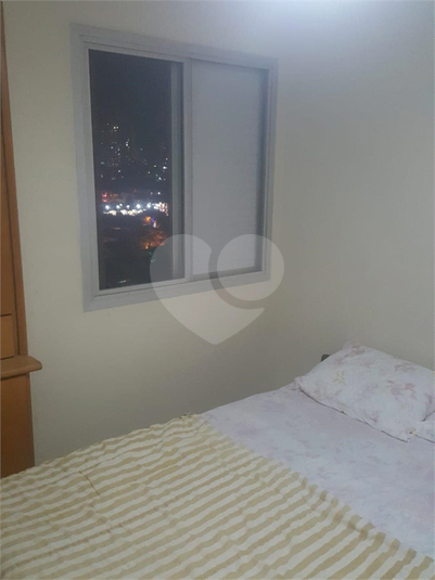 Foto REO663275