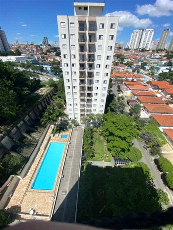 Venda Apartamento São Paulo Vila Firmiano Pinto REO664160 13