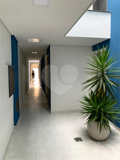Foto REO664198