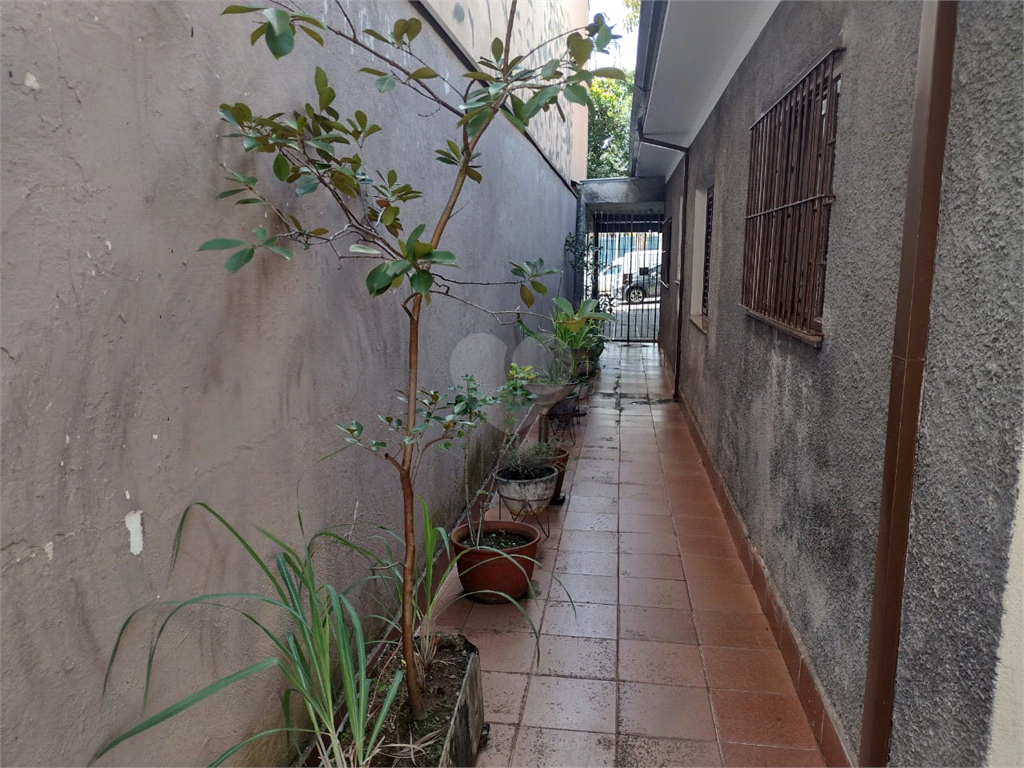 Venda Casa São Paulo Vila Leopoldina REO664436 19