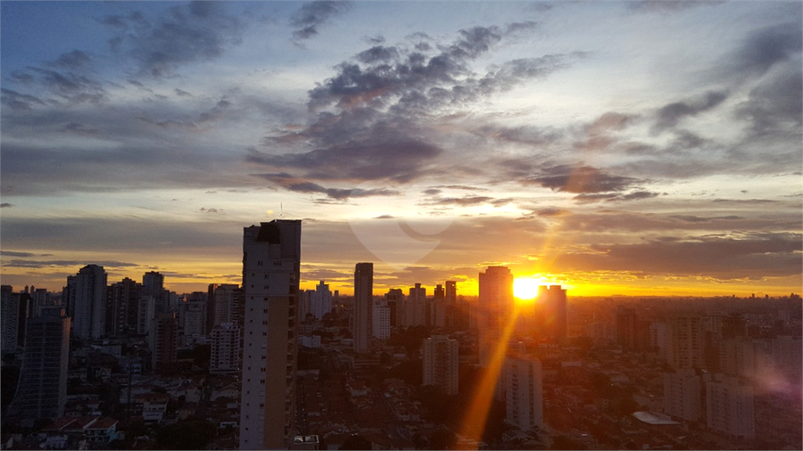 Foto REO664720