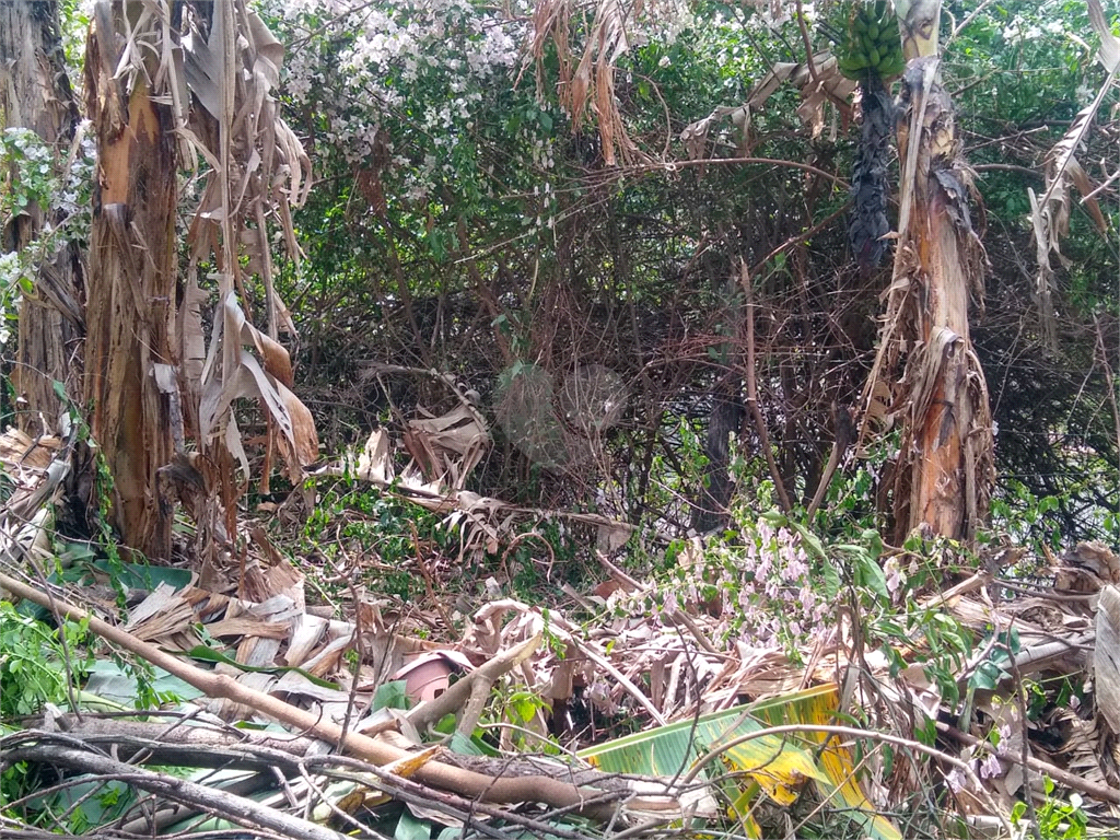 Venda Terreno Águas De Lindóia Centro REO665107 12