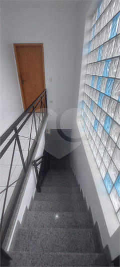 Foto REO665234