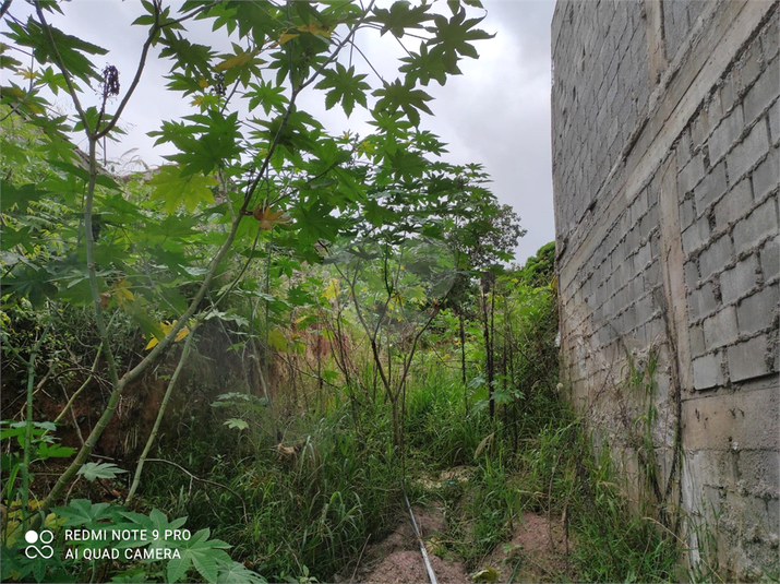 Venda Terreno São Paulo Chora Menino REO665549 16