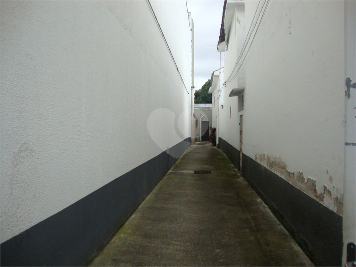 Foto REO665921