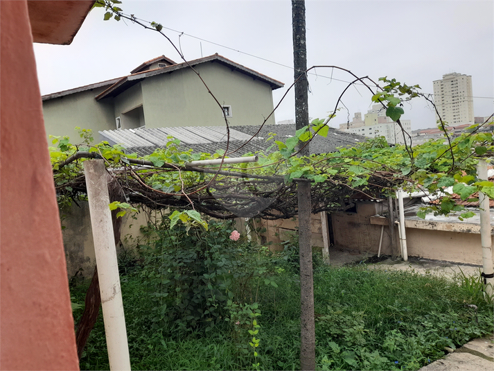 Venda Terreno São Paulo Vila Mazzei REO666534 15