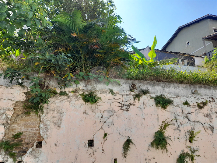 Venda Terreno São Paulo Vila Mazzei REO666534 7