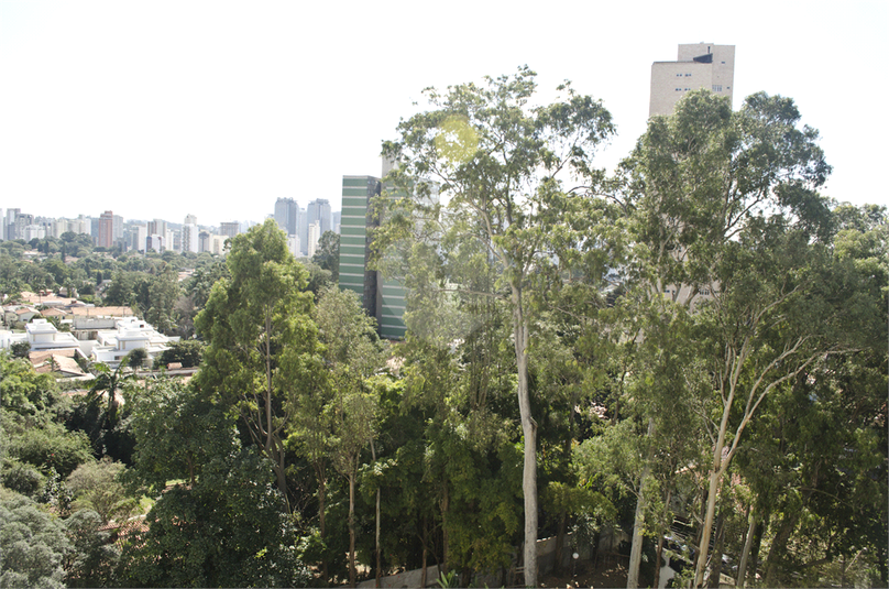 Venda Apartamento São Paulo Granja Julieta REO66983 6