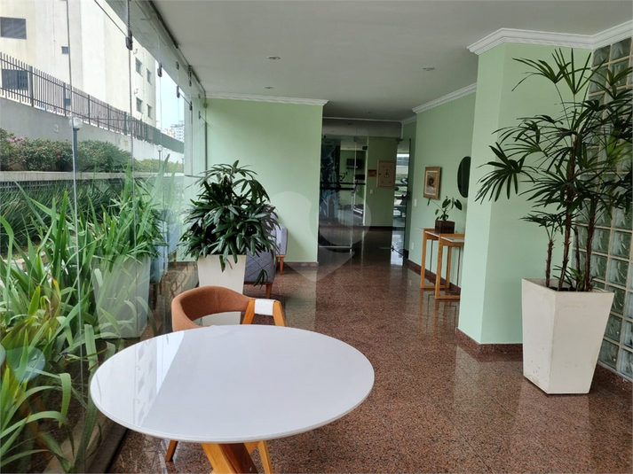 Foto REO671679