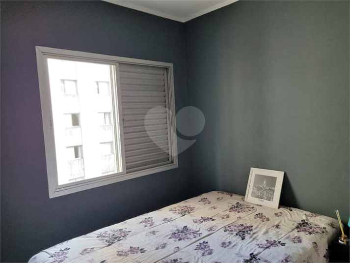 Foto REO671679