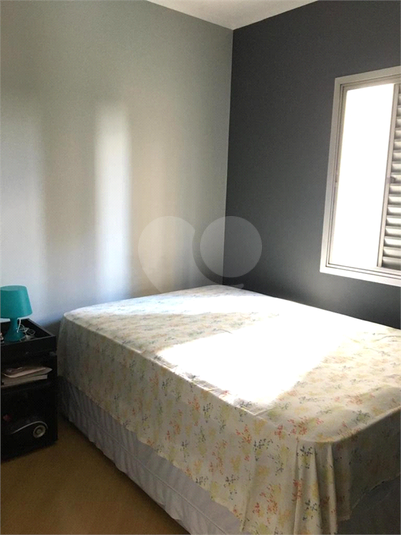 Foto REO671679