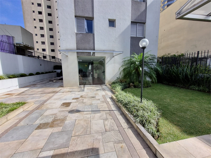 Foto REO671679
