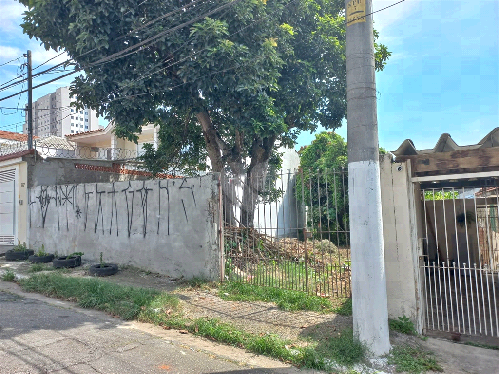 Venda Terreno São Paulo Vila Constança REO673916 3