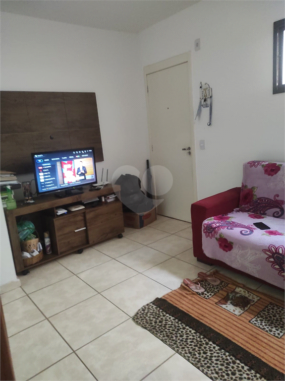 Venda Apartamento Araraquara Jardim Residencial Paraíso REO676283 2