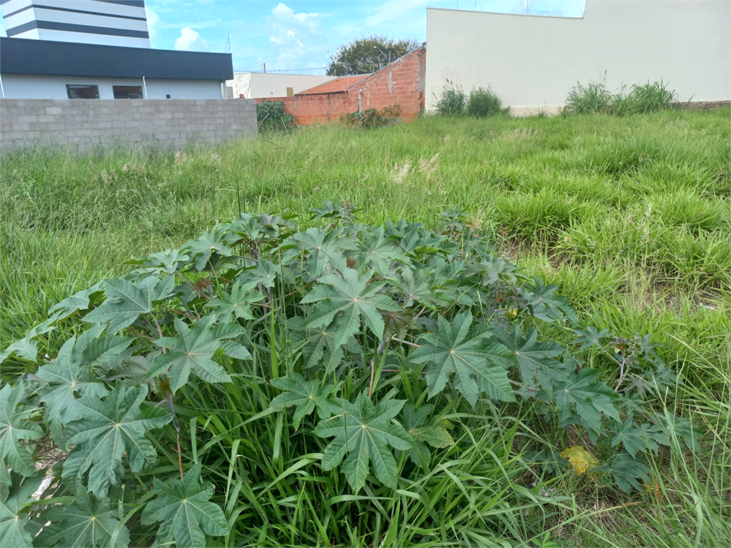 Venda Terreno São Carlos Jardim Embaré REO677550 8