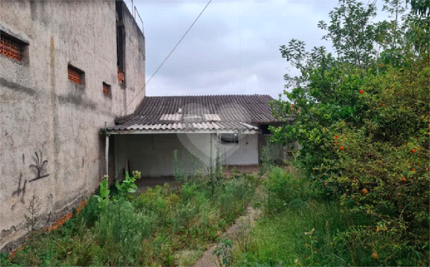 Foto REO677608