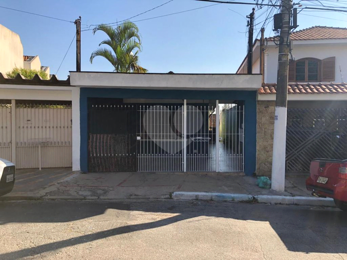 Foto REO677632