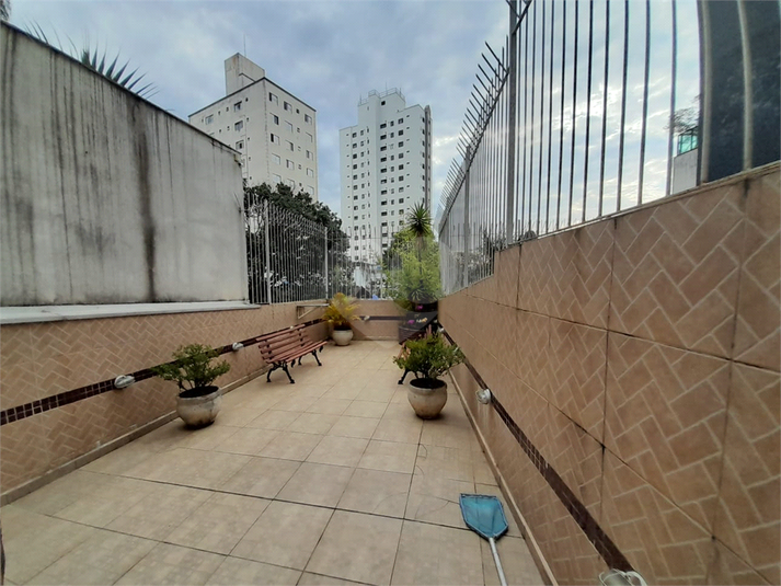 Foto REO677639