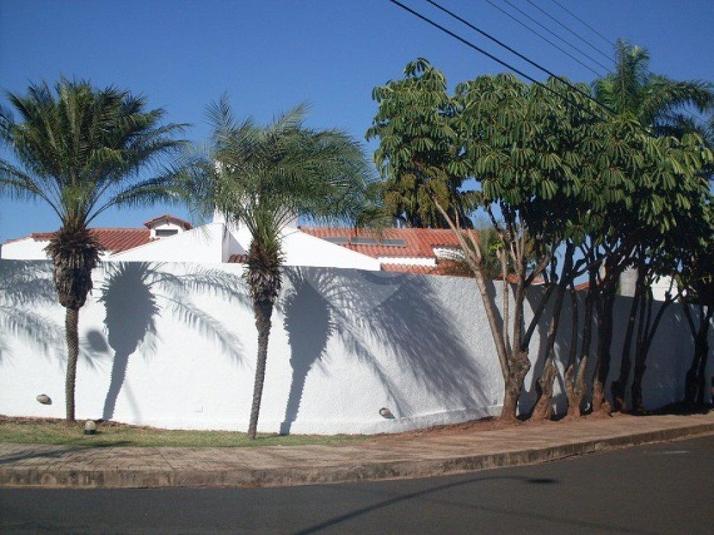 Foto REO67798