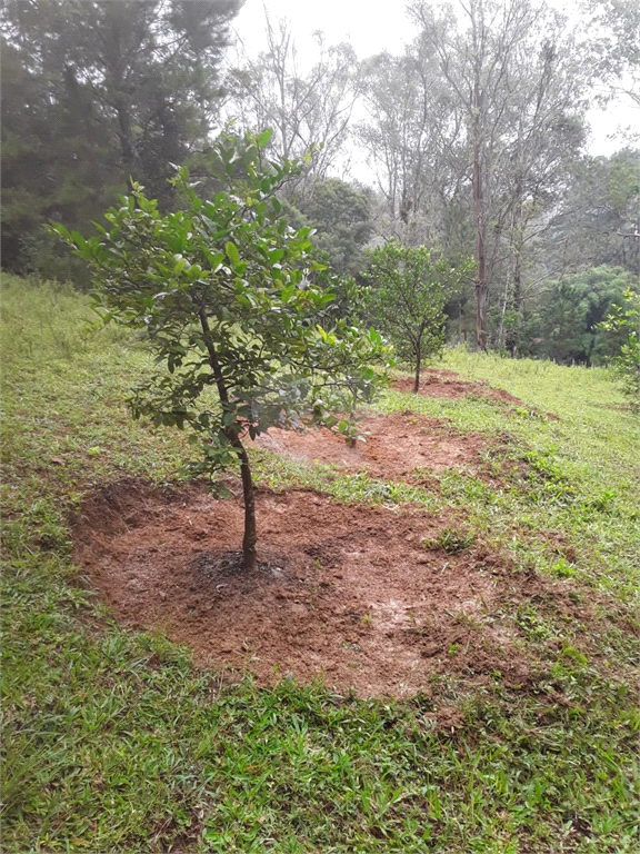 Venda Fazenda Embu-guaçu Zona Rural REO678185 15