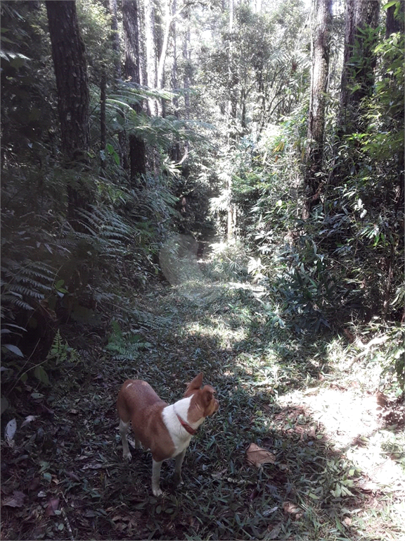 Venda Fazenda Embu-guaçu Zona Rural REO678185 18