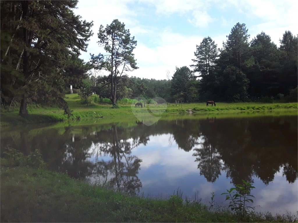 Venda Fazenda Embu-guaçu Zona Rural REO678185 6