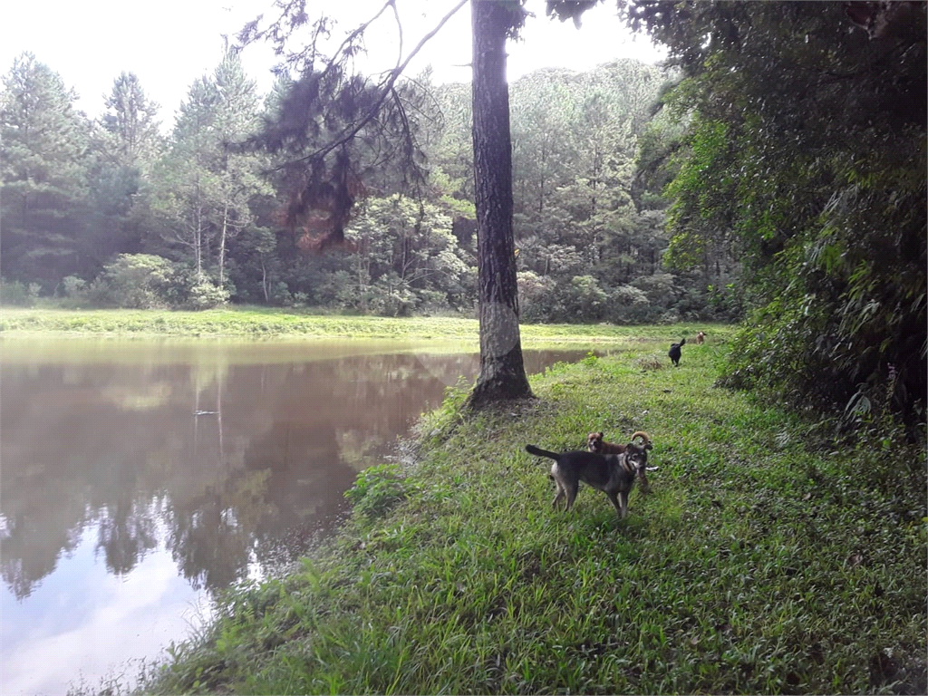 Venda Fazenda Embu-guaçu Zona Rural REO678185 1